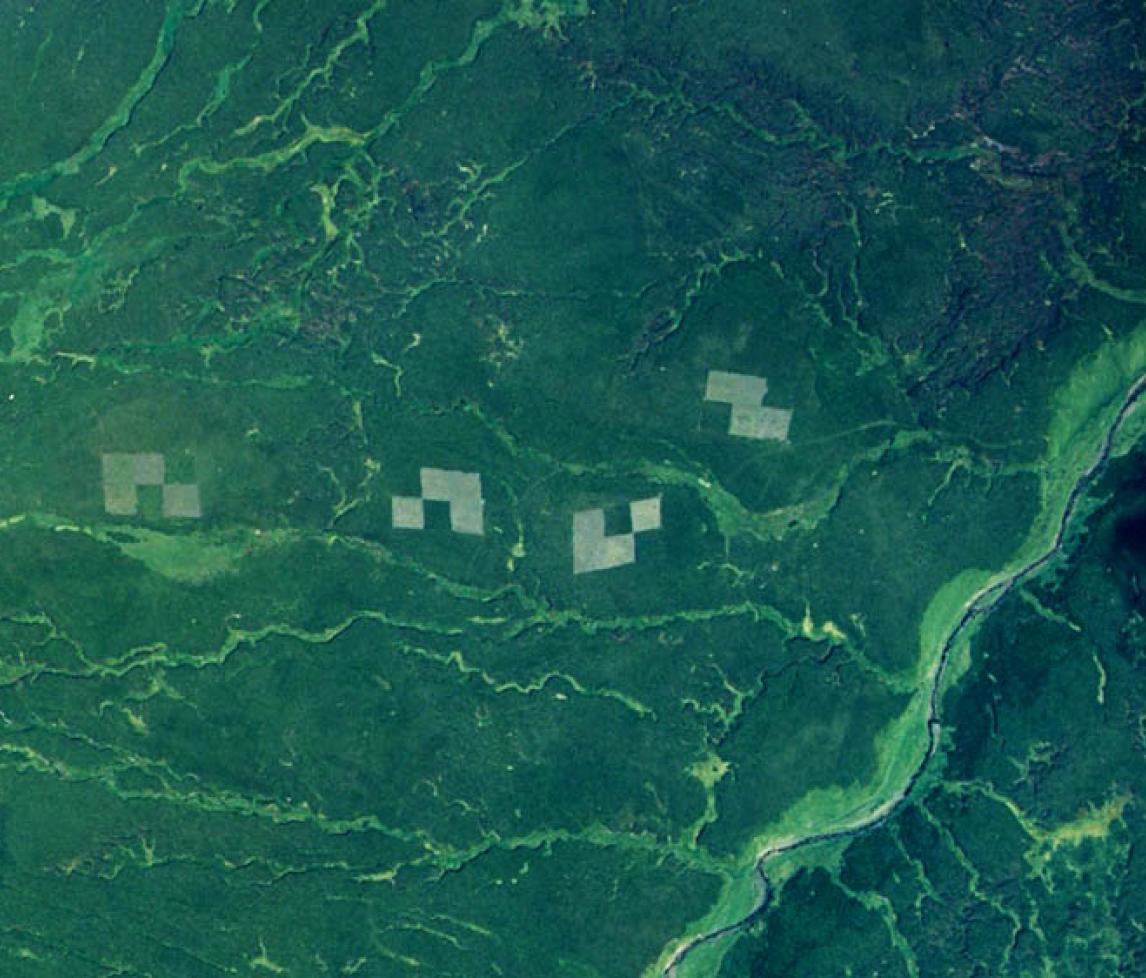 Exclosures at Moor House from the air